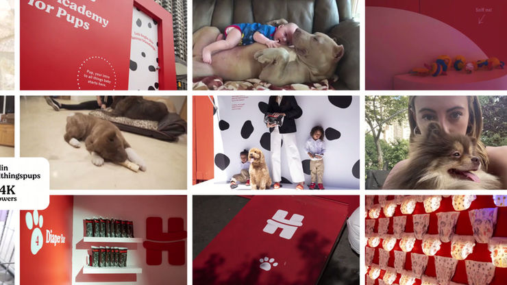 Huggies_101Dalmations Case Study